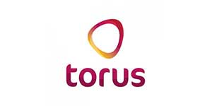 torus